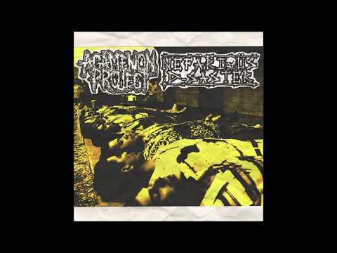 Agamenon Project/Nefärious D-Saster - Split (2021)