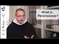 Thomas Joseph White #17: What is perichoresis? (I, 42, 5)