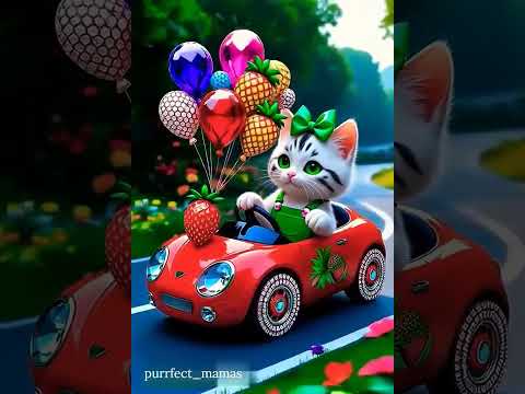 Meow Meow 🎶 #adorable #cuteanimal #cute #cutecat #cutepet #funny #funnyanimal #catlove