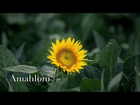 Stone & Bones ft. Toshi - Amahloni (Villager SA Remix)