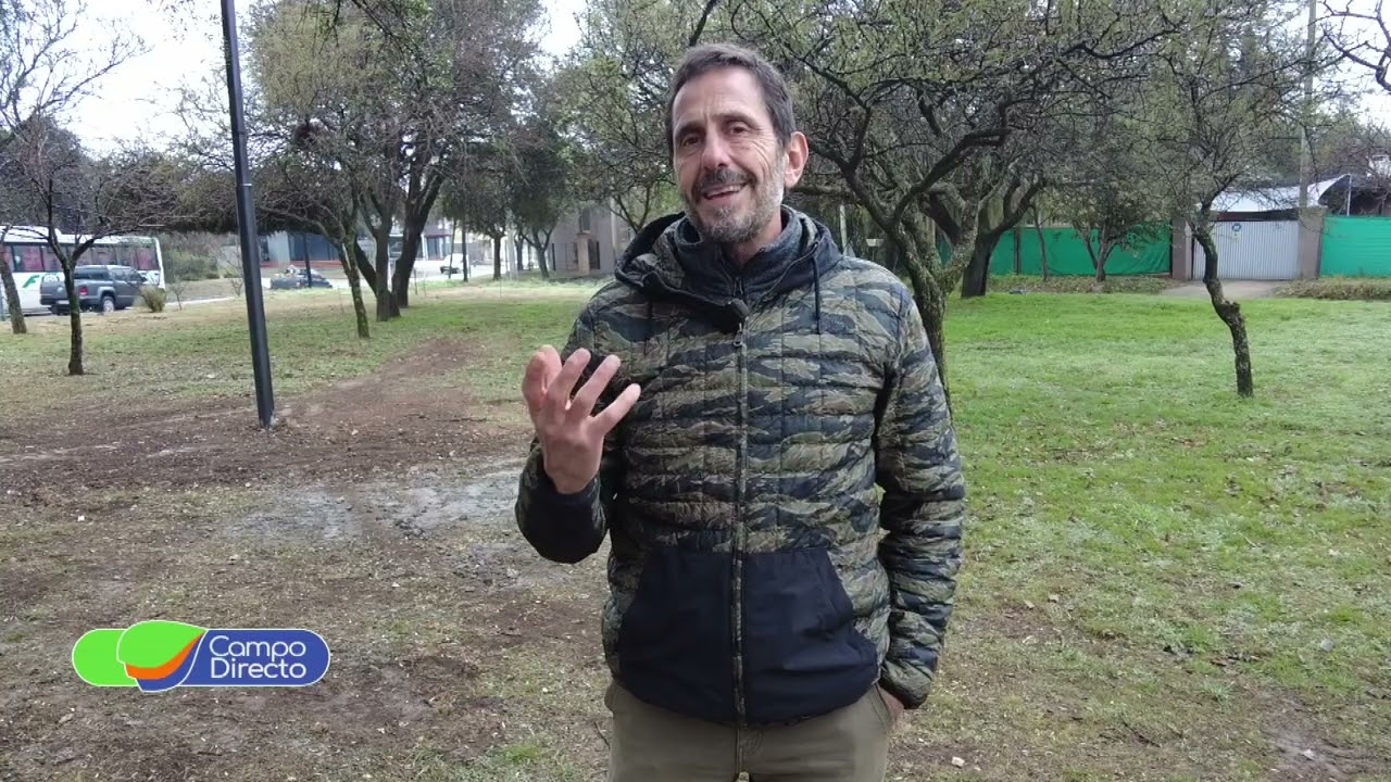 Campo Directo | Verdeos de invierno: claves para un manejo eficiente en un año húmedo