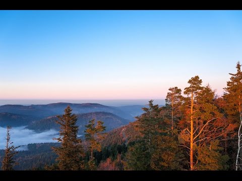 Urlaub im Schwarzwald - Traum Ferienhaus Schwarzwald