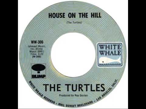 (17a) Turtles - House On The Hill