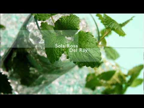 Sola Rosa - Del Ray (instrumental version)