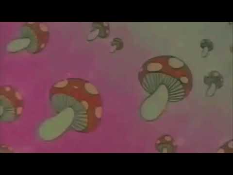 Lylyo X Tiitof - Pinocchio ( by DevilleBeats ) ( slowed & reverb )