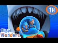 Sharks Teeth Blippi Wonders Educational Videos For Kids