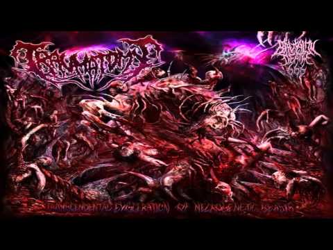 Traumatomy - Transcendental Evisceration Of Necrogenetic Beasts (2013) {Full-Album}