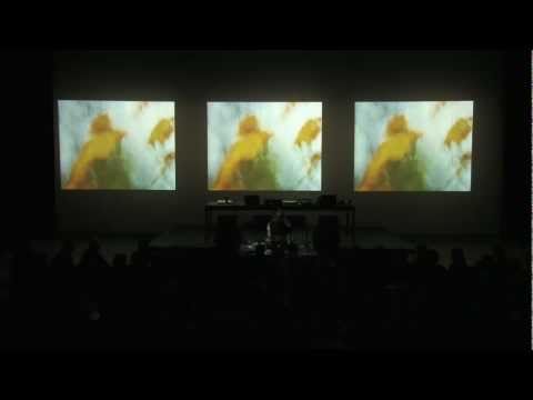 Flowers Into Stardust - Live at YCAM Japan - Christopher Willits