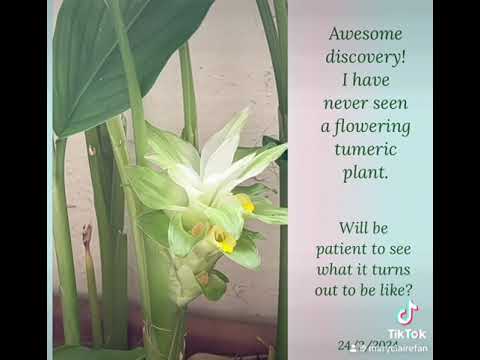 Awe & Wonder in Simplicity!