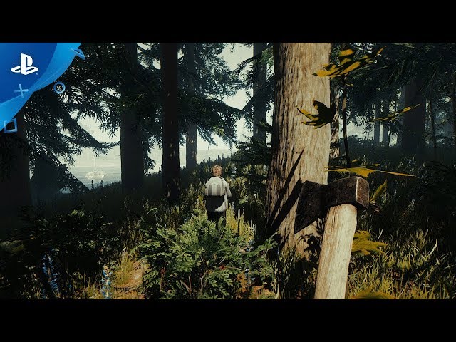 لعبة The Forest |  حساب  | PlayStation