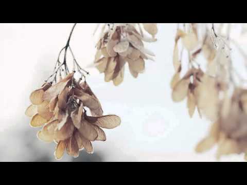 OST Stairway to Heaven - Nothing But That - Jang Jung Woo (그것만은 - 장정우)