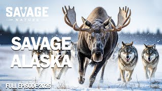 WILD ALASKA | The Land of Ice and the Giants Who Rule It | Animal Documentary