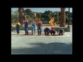 Sesame Street Stepping To Seven