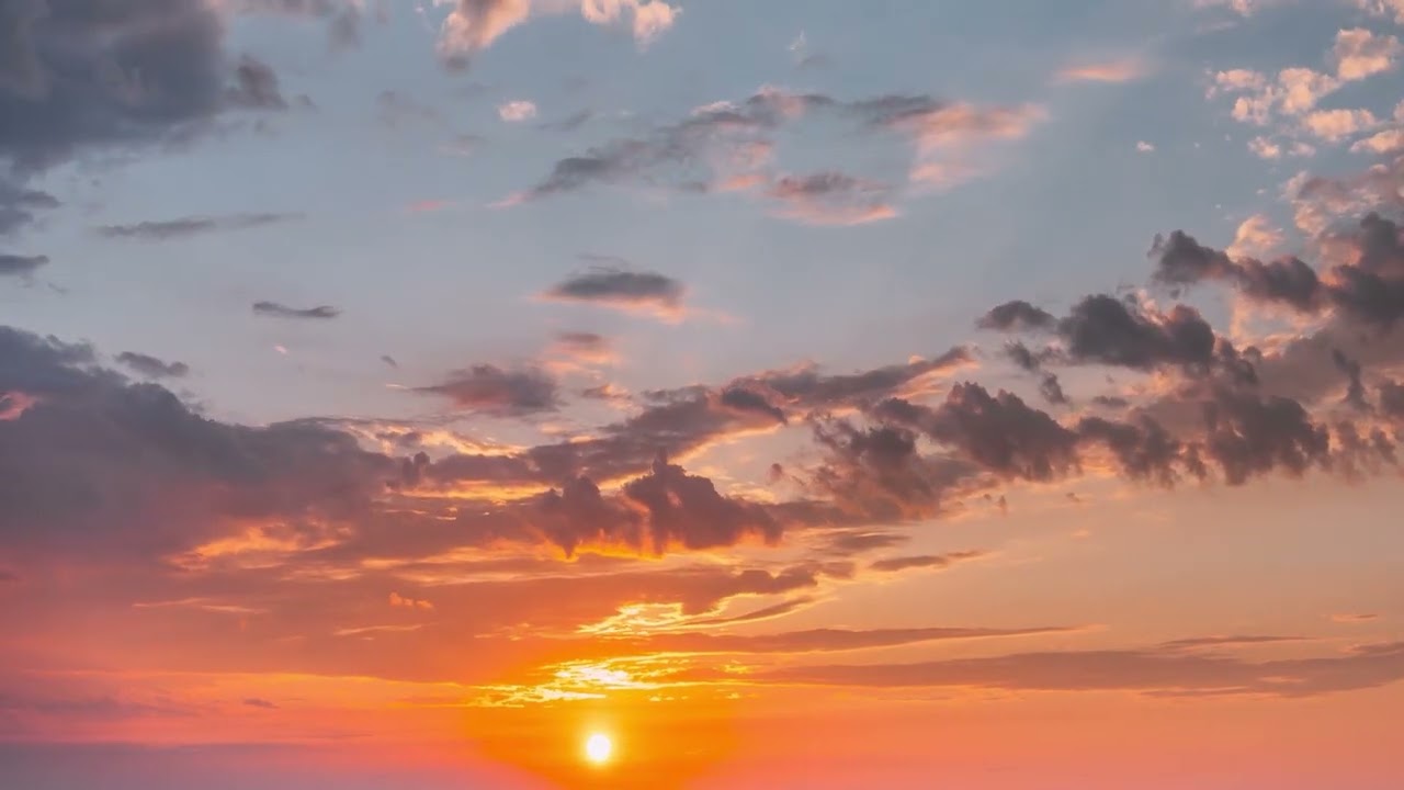 About Us top video  pdf