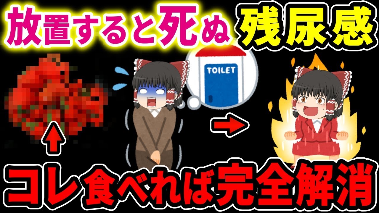 【危険】放置すると死に至る「残尿感」を完全解消する奇跡の食べ物を徹底調査し紹介！40代以上は絶対に最後まで見て！【ゆっくり解説】