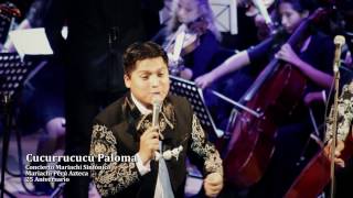 Malagueña y Cucurrucucú Paloma - Mariachi Sinfónico [Perú Azteca + Orquesta de Barro]