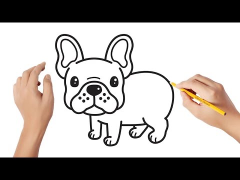 Comment dessiner un bouledogue français