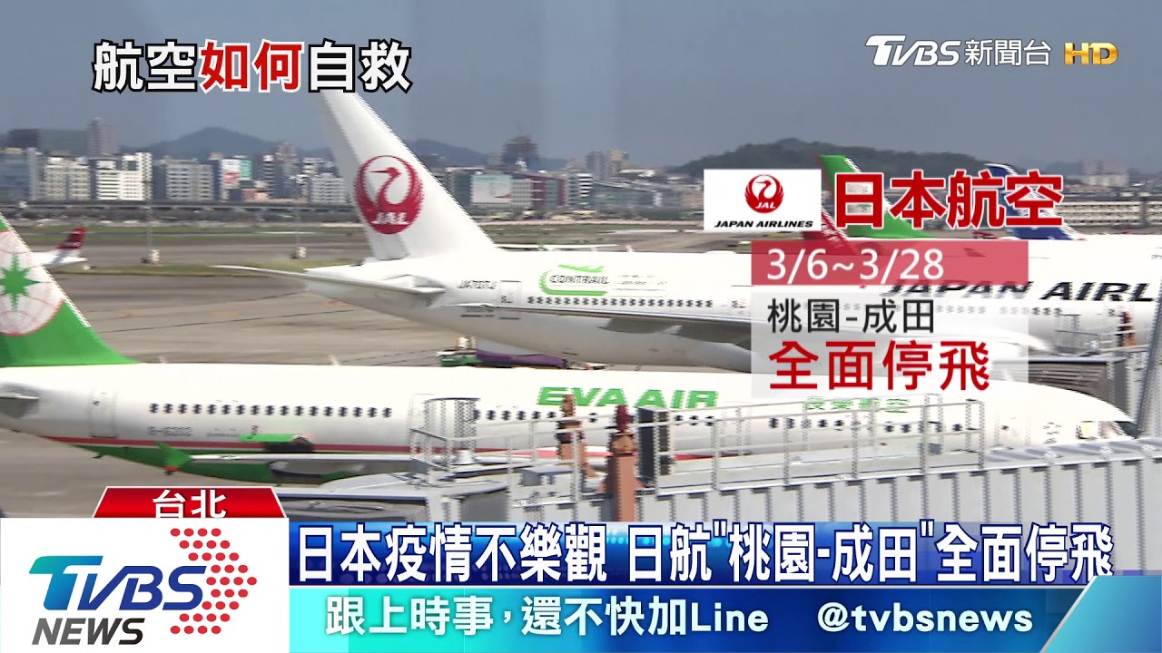 航空公司停飛、大砍班 旅行社恐放棄「暑假檔」