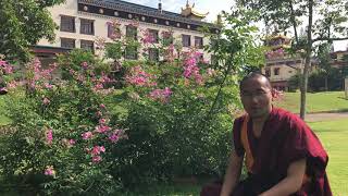 preview picture of video 'Paltrul Rinpoche said, it is example , Namdroling Monastery Mysore India 2019/2076'