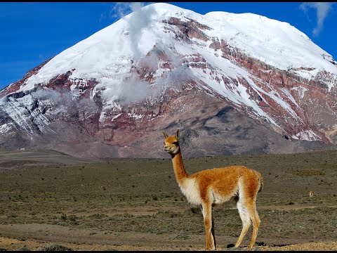 Folklor 2024🇪🇨 Mix Bailable💃folklore Andino🐑🦌Ecuatoriano