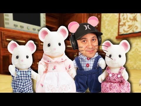 I moved my mouse family to a NEW HOME! | Mouse Simulator