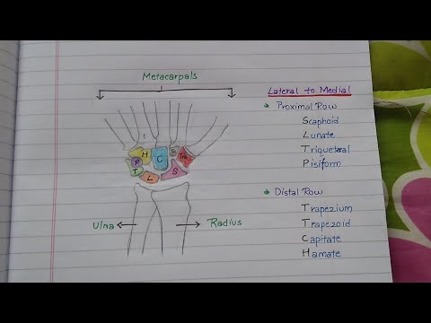 Learn Anatomy of Carpal Bones with easy to remember Mnemonics