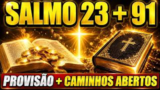DECLARE O SALMO 23 + SALMO 91 — 7 VEZES E ABRA OS CAMINHOS PARA A PROVISÃO DE DEUS