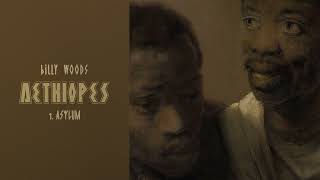 billy woods - Asylum (Official Audio)