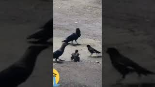 mother&#39;s love😭 | most viral video #shorts