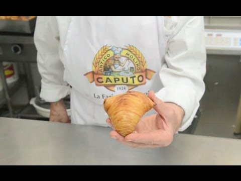 download lagu mp3 mp4 Sfogliatella Riccia Napoletana, download lagu Sfogliatella Riccia Napoletana gratis, unduh video klip Sfogliatella Riccia Napoletana