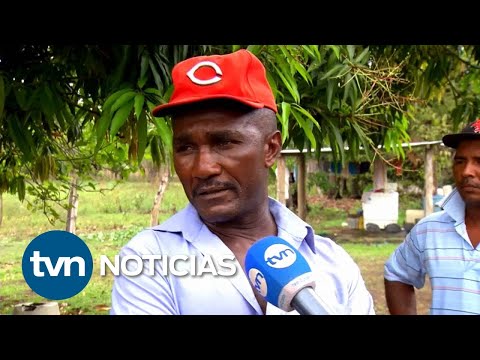 Por falta de puente a Chinina se pierde la producción de leche | TVN Noticias