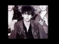 Ian McCulloch  ( Echo and the Bunnymen) Raindrop on the Sun
