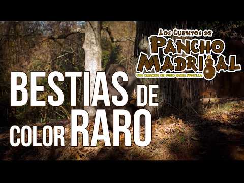 Tales of Pancho Madrigal - Beasts of Strange Colors
