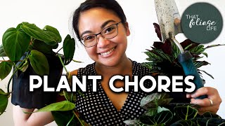 PLANT CHORES (Repotting, watering and pest prevention)