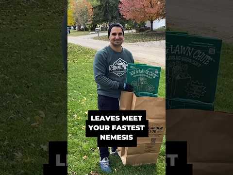 FASTEST way to Rake & Bag Leaves 🍁 (link in comments) #fallleaves #raking