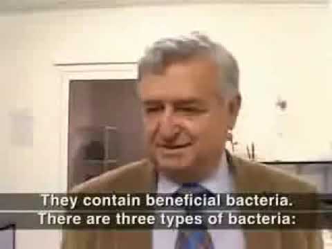 Fermented foods-Bulgarian health and longevity/Ферментирали храни - здраве и дълголетие на българите