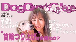 首輪つり上げは合図？雷怖い多頭飼い問題解決。散歩で吠える、引っ張るをどうする？