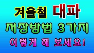 [텃밭농부.879]  겨울철 대파 저장법 3가지. #대파저장법 #대파재배