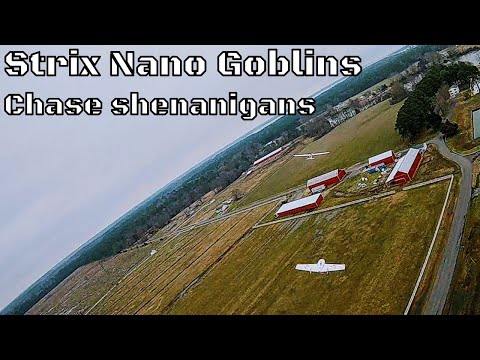 strix-nano-goblins-at-play