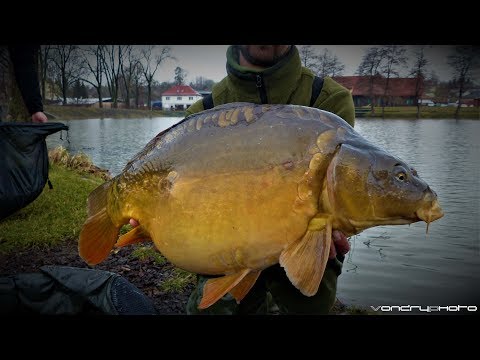 Jarní vysazování kaprů - rybník Pilský