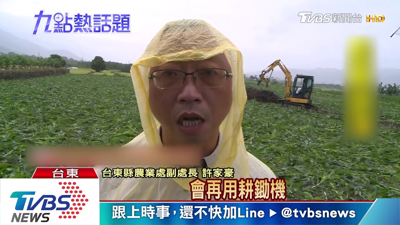 秋行軍蟲蔓延 宜花東發現新北金山也出現