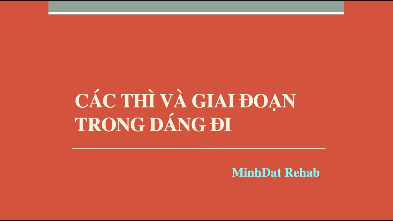 Các giai đoạn của dáng đi