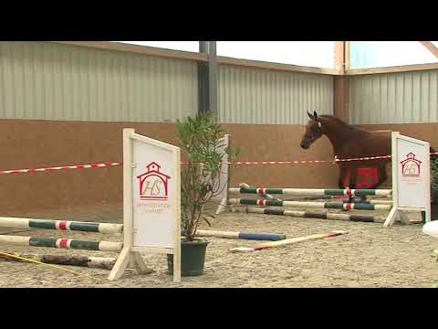 056 054 Comme il faut Cassini l