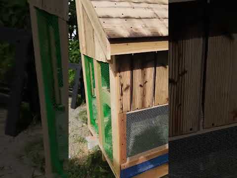 幸せな羽の生えた鳥を育てるために、鶏小屋に泥が入らないようにするにはどうすればよいでしょうか?試してみたい6つの素晴らしいアイデア  庭園