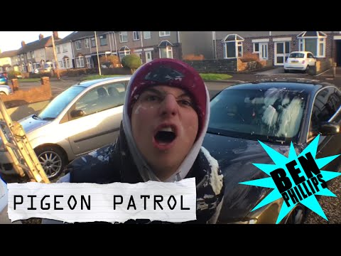 本-菲利普斯｜鴿子巡邏隊--一頭母牛在我的汽車上C*mmed!- 我的車 (Ben Phillips | Pigeon Patrol - a cow had C*mmed on my car! - PRANK)