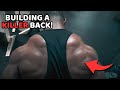 How To Build A 3D KILLER BACK Back Day Routine