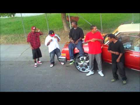 We Do It For The West(unofficial video).wmv