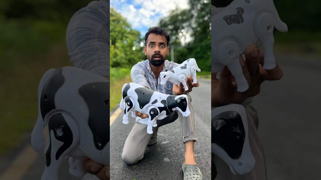 New Remote Control Cow unboxing