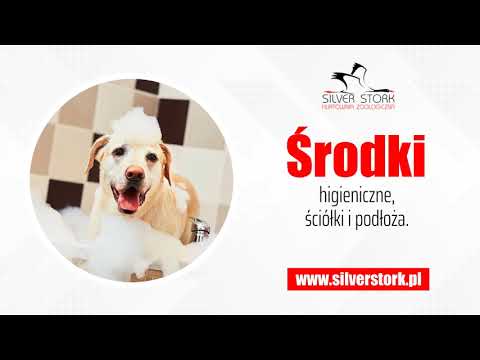 download lagu mp3 mp4 Hurtownie Zoologiczne d, download lagu Hurtownie Zoologiczne d gratis, unduh video klip Hurtownie Zoologiczne d