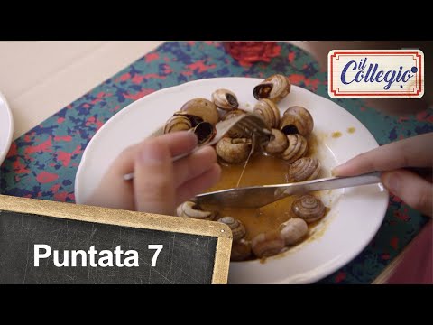 Lumache per pranzo: Giordano vs Andrea D. P. - Settima  puntata - Il Collegio 5